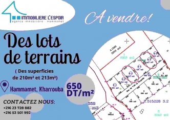 Lot de terrain a vendre a Hammamet, Kharrouba