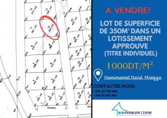 Lot de terrain a vendre a Hammamet Nord, Mrezga