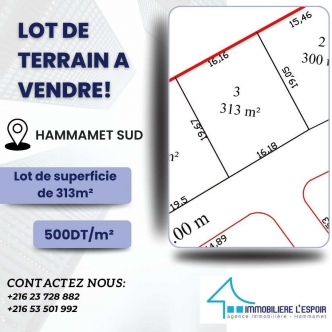 Lot de terrain a vendre a Jinen Hammamet