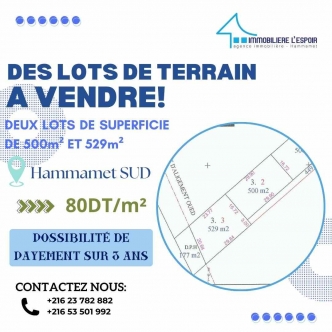 Lot de terrain a vendre a Hammamet Sud