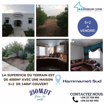 Maison S+2 avec un grand jardin a vendre a Hammamet SUD