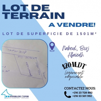 Lot de terrain a vendre a Nabeul, Borj Hfaiedh