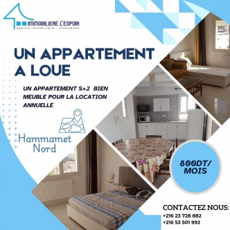 Un appartement a loué a Hammamet Nord